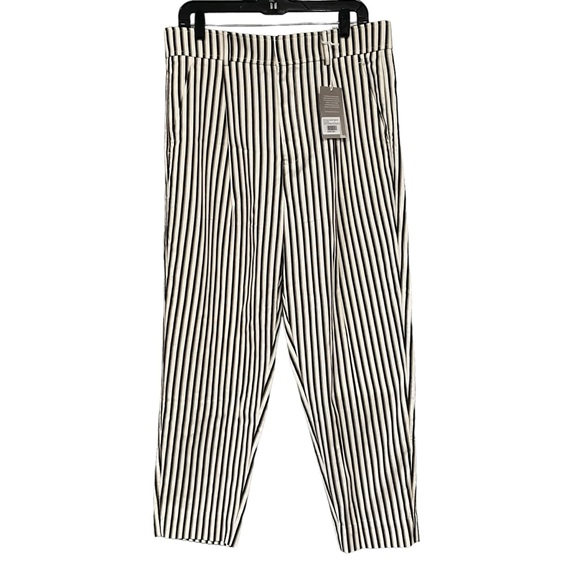 NWT, Everlane The TENCEL Way-High Taper Pant Ombre Stripe, Sz 14 - Picture 4 of 15